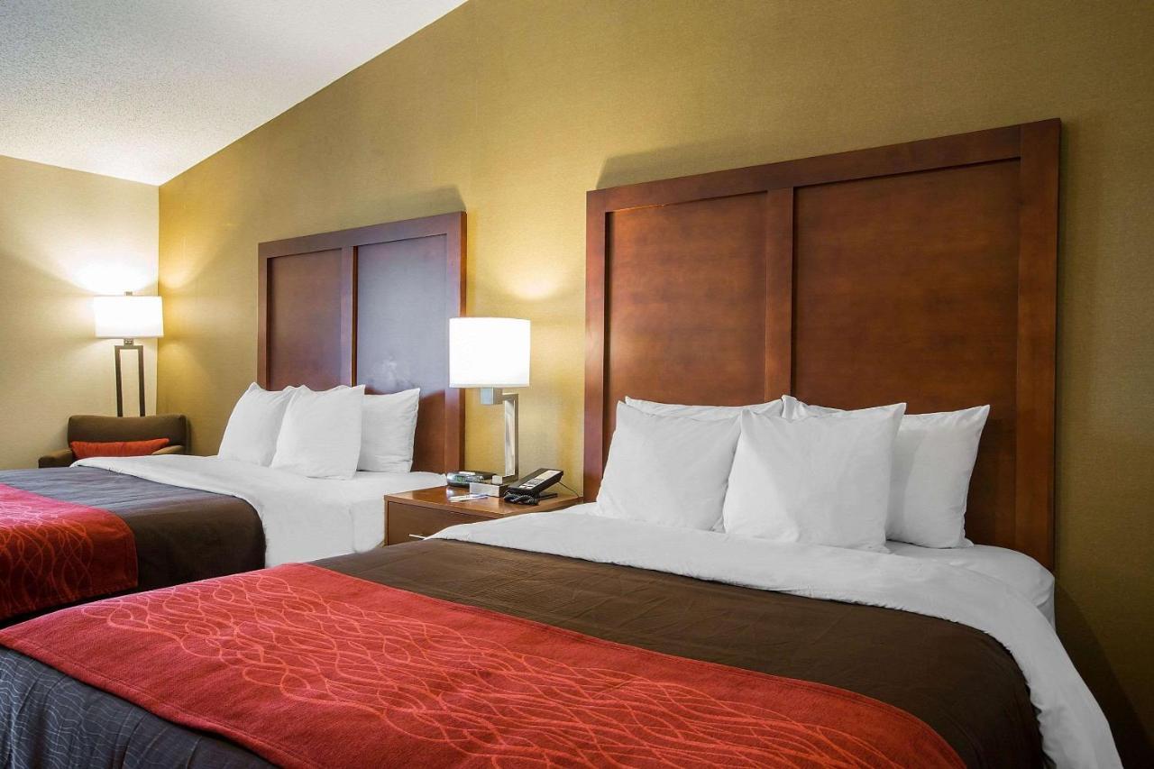 Comfort Inn Glenmont - Albany South Eksteriør bilde